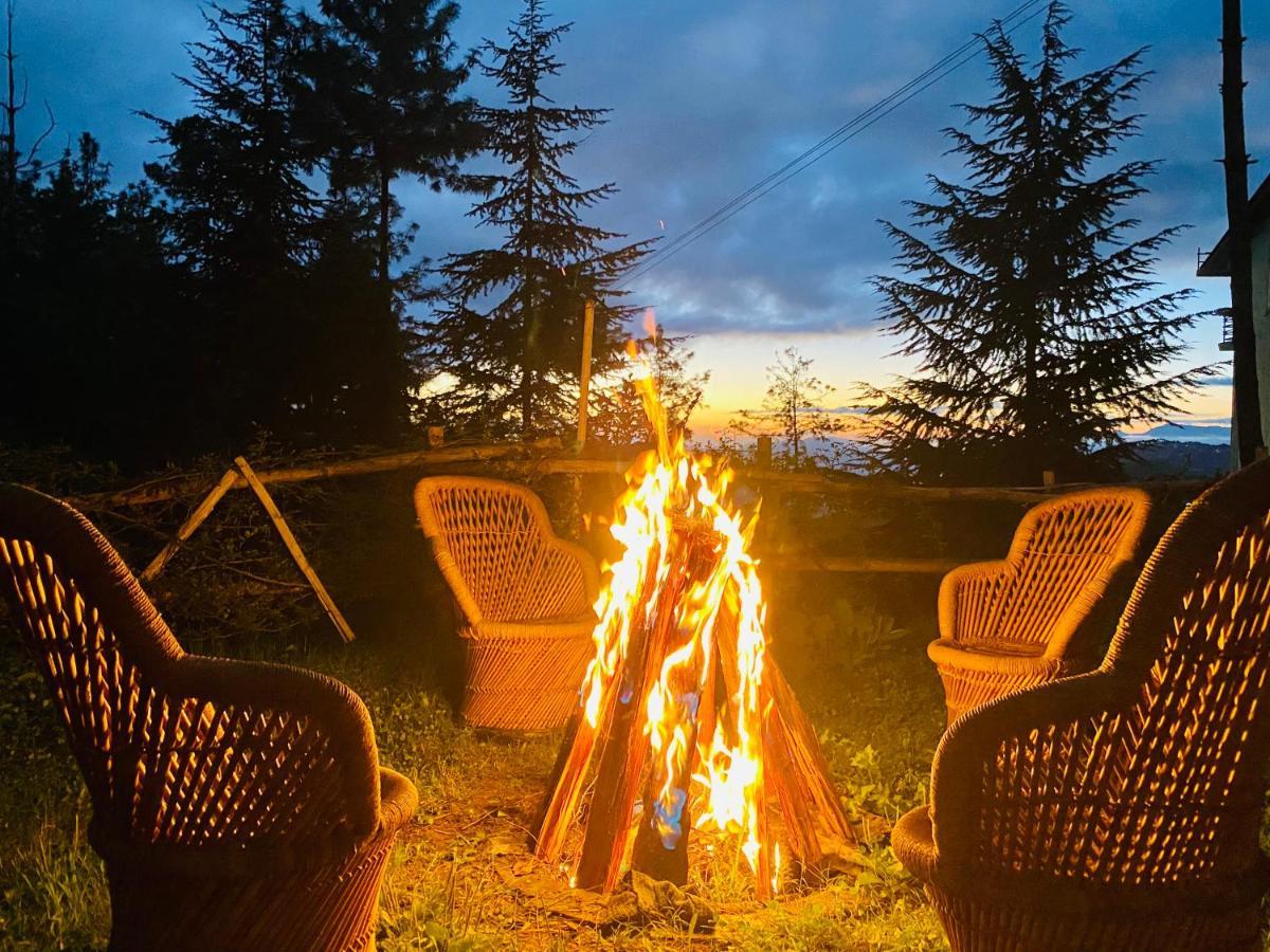 Aachman Nature Valley Resort Shimla Ngoại thất bức ảnh